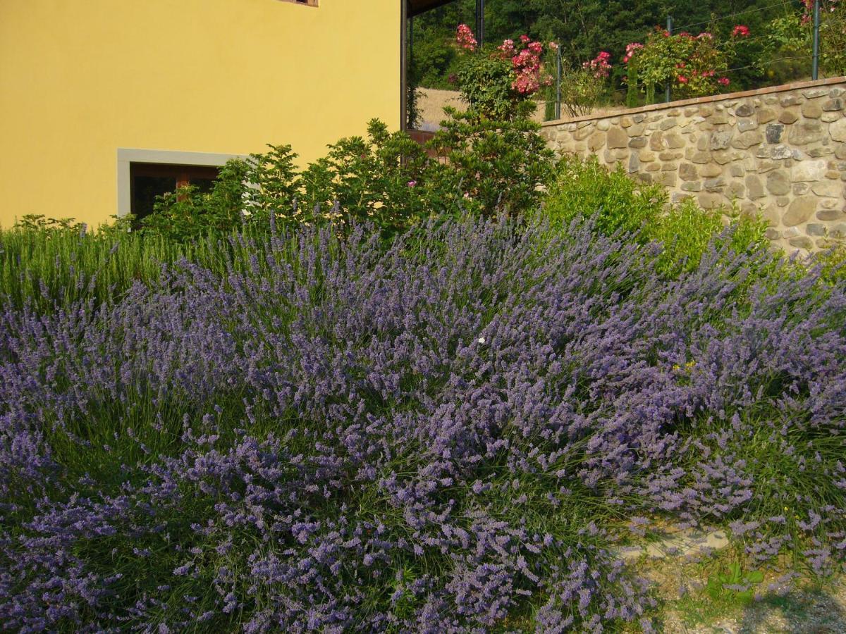 Agriturismo Podere Filicaia ซาน จิโอวานนิ วาลดาร์โน ภายนอก รูปภาพ